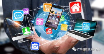 信息消费 概念、特征、问题与互联网信息服务的影响